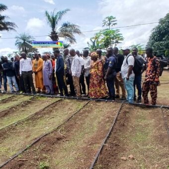 Formation sur l’utilisation de la chaux agricole Terracalco au centre de Tidjane Agriculture à Modia