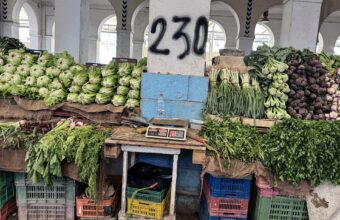 Kais Saied au centre de l’évaluation économique de la Tunisie